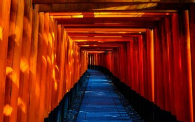 17-daagse Rondreis Japan van tempels tot theevelden