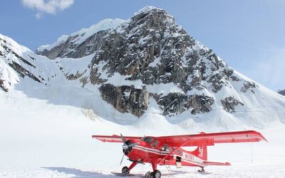 21-daagse rondreis Alaska